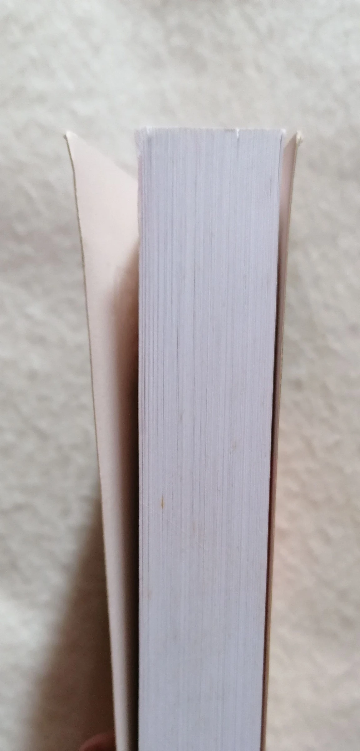 Book The Eyes of the Dragon – photo 7